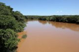 Resíduos de Brumadinho já matam os peixes do rio São Francisco
