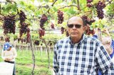 Em 2018, mais uma vez, o agronegócio segurou o PIB pernambucano Em 2018, mais uma vez, o agronegócio segurou o PIB pernambucano