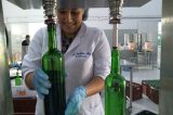 Parceria entre IF Sertão-PE e vinhedo na Chapada Diamantina produz primeira safra de vinhos