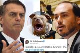 Maia diz que filho de Bolsonaro é para internar