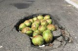 Tapa buraco de Juazeiro é coisa de primeiro mundo