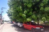 Prefeitura de Juazeiro não tem serviço de poda, o povo é obrigado à pagar ou sofrer  consequências