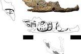 Os macabros troféus que poderiam explicar o declínio dos maias
