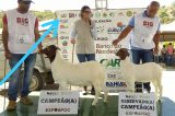 Prefeitura de Juazeiro patrocina evento em Curaçá