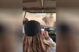 Elefante enfurecido ataca grupo de turistas em safári na África; veja vídeo