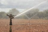 Codevasf conclui estudos de viabilidade técnica do projeto de irrigação do Vale do Iuiú, na Bahia