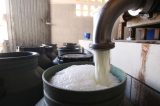 Bacia leiteira em Pernambuco dá sinais de recuperação