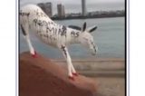 Vagabundagem em Juazeiro