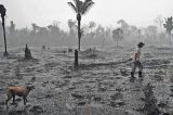 Com exército há um mês na Amazônia, queimadas diminuem e desmate aumenta