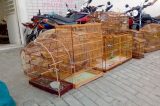 Polícia apreende armas, drogas, pássaros e objetos roubados no interior de Pernambuco