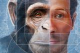 Cientistas espanhóis criam um ser híbrido de humano e macaco na China