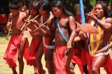 Pistoleiros atacam indígenas após fazendeiros invadirem território sagrado dos Guarani Kaiowá no Mato Grosso do Sul