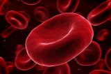Cientistas criam exame de sangue capaz de prever risco de morte