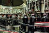 Suco de uva de Petrolina conquista consumidor nordestino