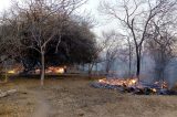 Incêndio destrói área preservada da Caatinga em Campo Alegre de Lourdes; veja vídeo