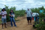 Projeto do IF Sertão-PE oferta análise de solo gratuita para pequenos produtores