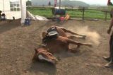 Vídeo: cavalo se finge de morto para fugir de montaria