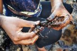 À beira da fome, pescadores e marisqueiras seguem sem auxílio após vazamento de óleo