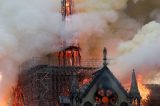 A floresta submersa que pode ajudar a reconstruir catedral de Notre-Dame