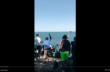 Vídeo: População recolhe óleo em praia do Nordeste aos gritos de: “Ei, Bolsonaro, vai tomar no c*”