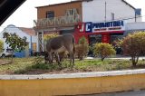 Vereador denuncia descaso e abandono em Uauá