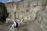 México encontra restos de 14 mamutes em armadilhas de caçadores