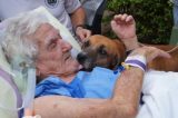 Internado há um mês, idoso recebe visita de cachorro de estimação e tem melhora clínica