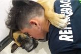 Cadela morre abraçada ao dono após ter um ataque cardíaco por causa de fogos de artifícios