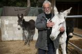 “Os burros são tremendamente inteligentes”