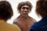 Por que foi o azar, e não a ação do ‘Homo sapiens’, que acabou com os neandertais