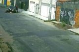 Jovem finge ser gato e mia embaixo da cama para não ser encontrado por policiais