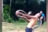 Encantador de serpentes morre após ser atacado por cobra; assista