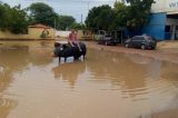 Cidadão coloca escultura de um porco dentro de lagoa na frente da 8ª Ciretran, em Juazeiro