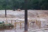 Após chuvas fortes, represa se rompe em cidade goiana
