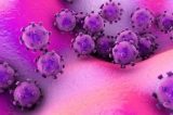 Coronavírus: 5 aspectos do vírus surgido na China que mais preocupam os cientistas