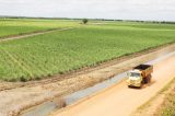 Xico Graziano: Nordeste será a nova fronteira do agro brasileiro