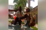 Gleisi Hoffmann é agredida aos gritos por bolsonaristas em hotel no Rio