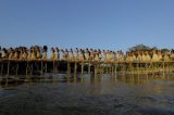Da escravidão à autonomia em 50 anos: a história de renascimento dos índios yawanawá Da escravidão à autonomia em 50 anos: a história de renascimento dos índios yawanawá