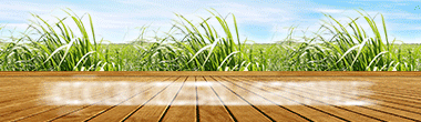 Agrovale—Açúcar-Cristal—Banner-Animado_AÇÃO-POPULAR-380px-x-110px