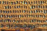 Pela primeira vez, Brasil registra mais de mil óbitos por coronavírus em um dia