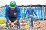 Economia do CE levará ao menos 2 anos para voltar a patamar pré-crise