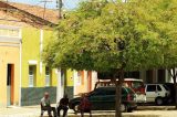Recém-nascida indígena de três dias morre de Covid-19 em Floresta, no Sertão