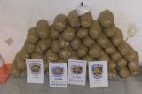 Operação apreende mais de 54 kg de maconha em porta malas de carro na BR-428 em Cabrobó