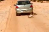 Vídeo: Cachorro é amarrado pelo pescoço e arrastado por carro em estrada de barro