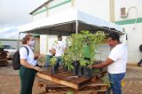 Semana do Meio Ambiente destaca importância da Caatinga em Juazeiro – BA