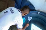 Casos de chikungunya crescem 434% na Bahia entre 2019 e 2020, aponta Sesab