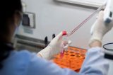Novo vírus respiratório com potencial pandêmico é detectado no Paraná
