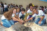 Projeto da Agrovale completa 12 anos com a doação de mais de 300 mil mudas da Caatinga Projeto da Agrovale completa 12 anos com a doação de mais de 300 mil mudas da Caatinga