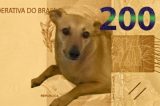 Os internautas não estão sabendo lidar com a nota de R$ 200 Os internautas não estão sabendo lidar com a nota de R$ 200