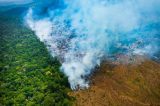 Fogo no Pantanal começou em grandes fazendas, aponta investigação da PF